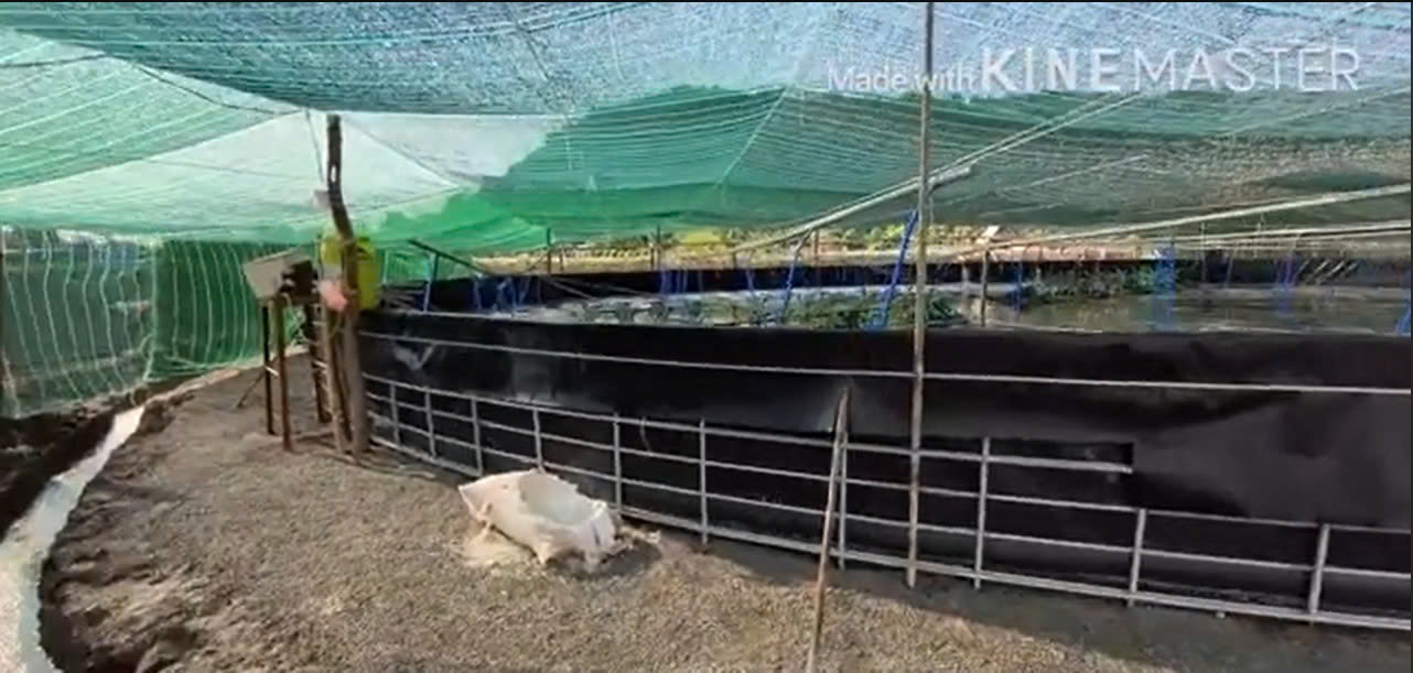 Thiết kế bể tròn nổi 500m³ nuôi tôm chỉ với 60 triệu đồng: Giải pháp tối ưu chi phí cho mô hình nuôi tôm hiện đại